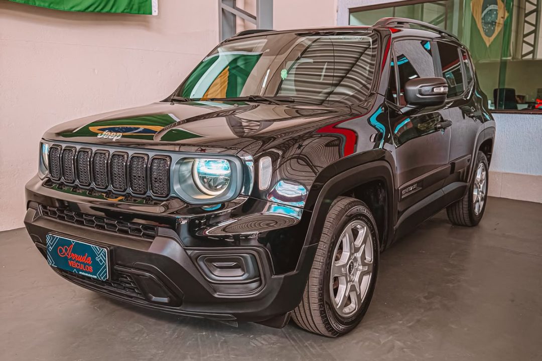 renegade SRO2D80 (5)