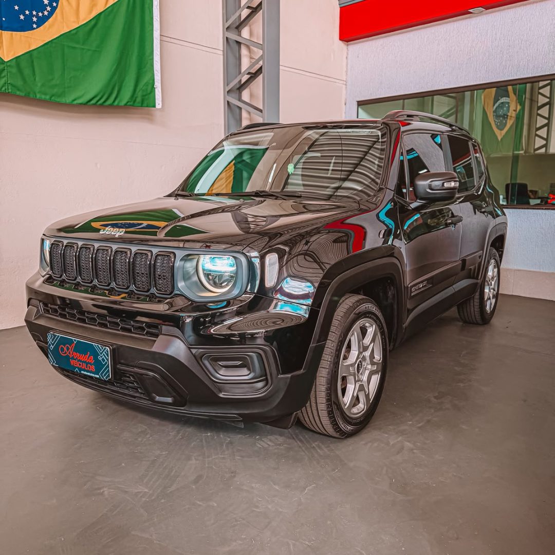renegade SRO2D80 (5)
